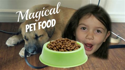 Magical food dust for dogs